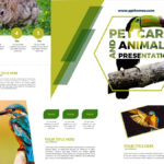 Pet Care and animals presentations in powerpoint templates